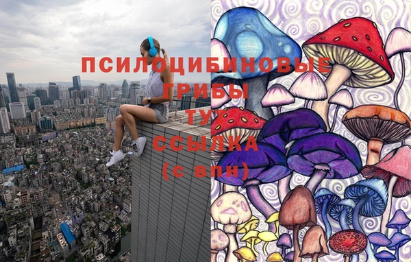 дмт Володарск