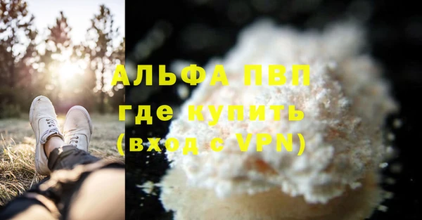 spice Верея