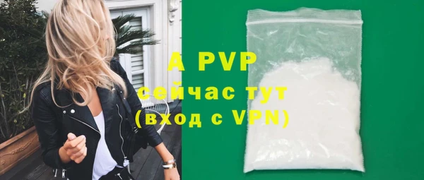 сатива Волосово