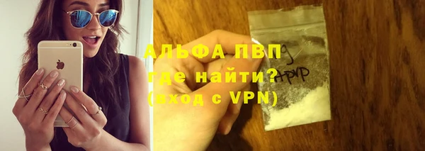 сатива Волосово