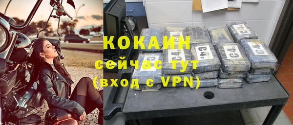 сатива Волосово