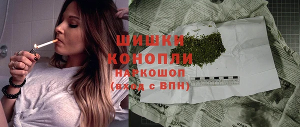 сатива Волосово