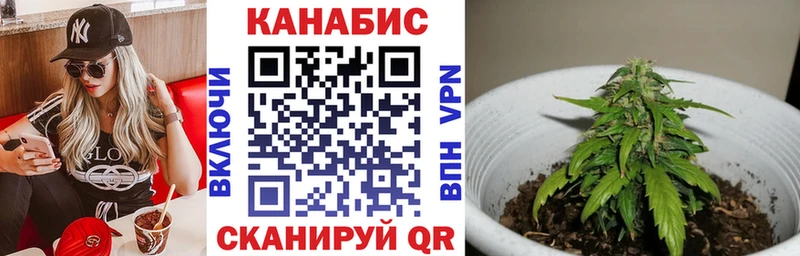 Бошки Шишки Bruce Banner Гаврилов Посад